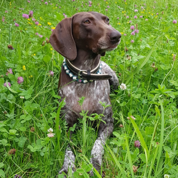 lena